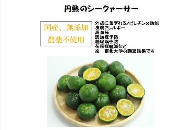 【地元でバカ売れ😊】国産、農薬不使用　シークヮーサー
花粉症や糖尿病などに効く！？あのノビレチン！