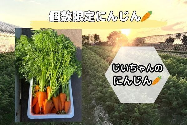 個数限定じいちゃんのにんじん🥕