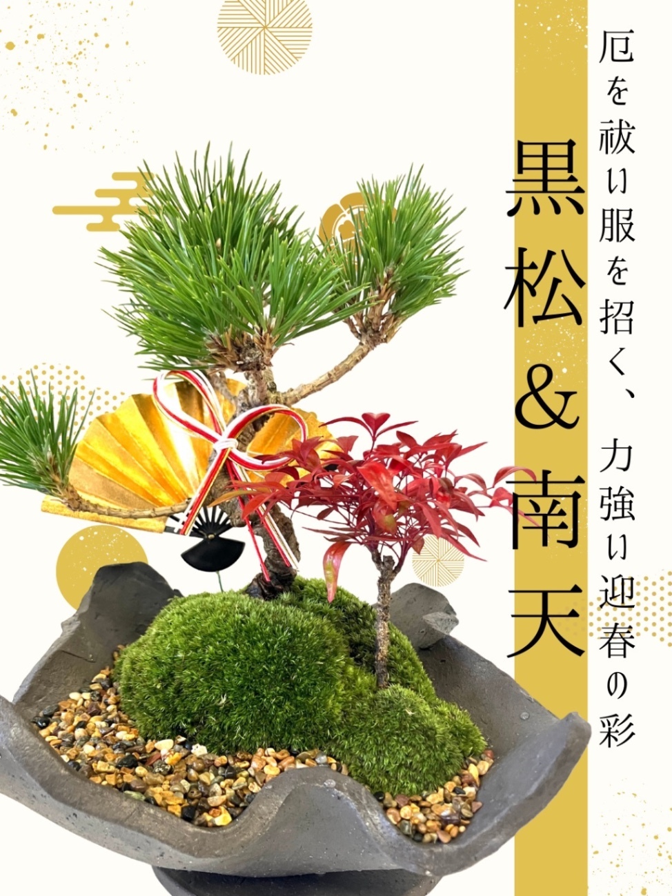 職人が手がけるミニ盆栽】黒松&南天 寄植え【お正月飾り付き