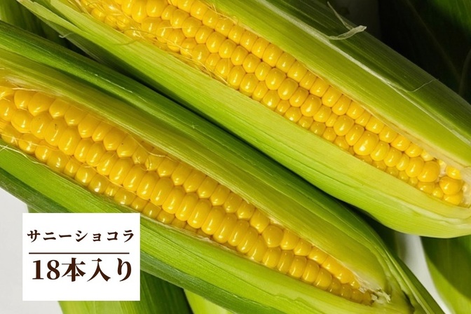 【朝採り】希少！この時期のとうもろこし18本入り♡限定出荷！ 新鮮さをそのまま食卓へ
