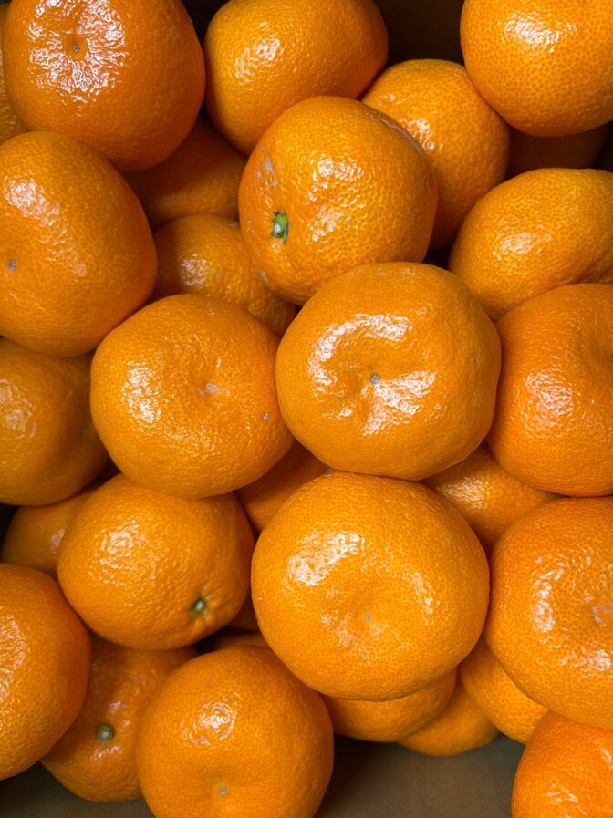 晩生みかん　3L,2L混合B級品　箱別8.6kg
