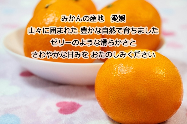 高級みかん】みかん媛農園 まどんな（愛果28号）ご家庭用C級 2kg リベP