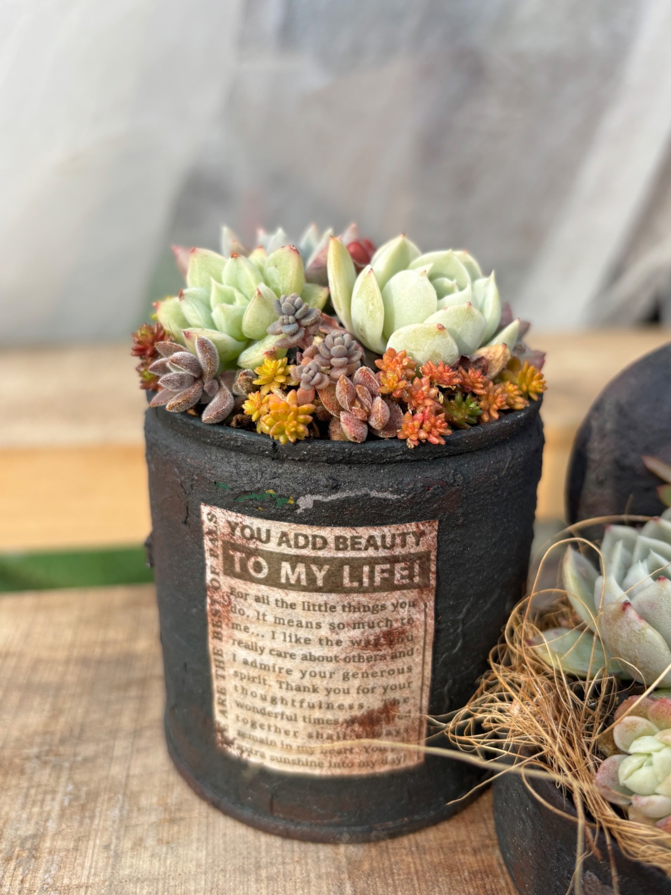 リメ缶＊寄せ植え＊多肉＊そのまま飾れる＊｜リベシティファーマーズ