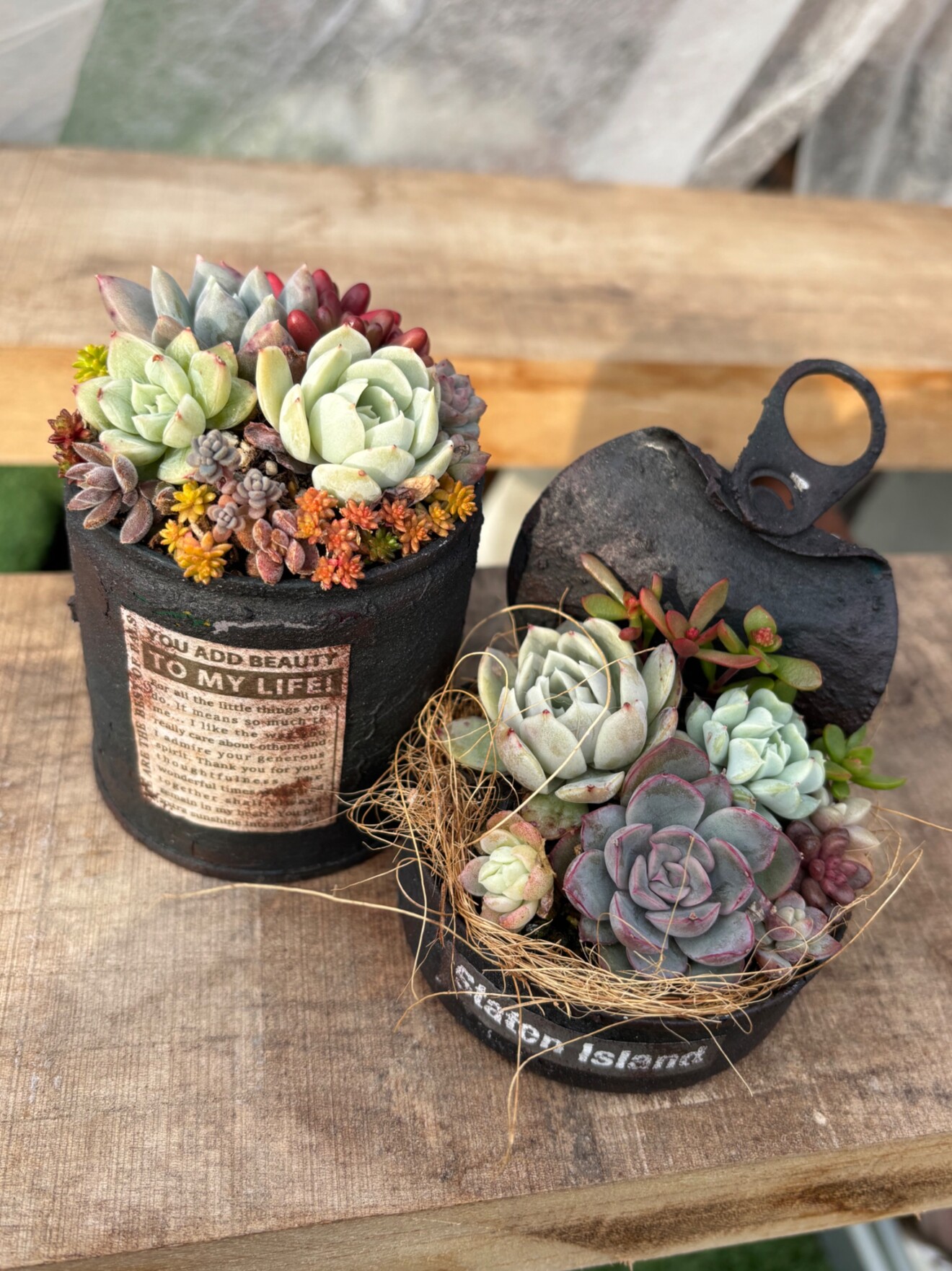 5号平鉢☆リメイク鉢　リメ鉢　リメ缶　リメイク缶　多肉寄せ植え　イチゴ 5号平鉢☆リメイク鉢 リメ鉢 リメ缶 リメイク缶 多肉寄せ植え イチゴ