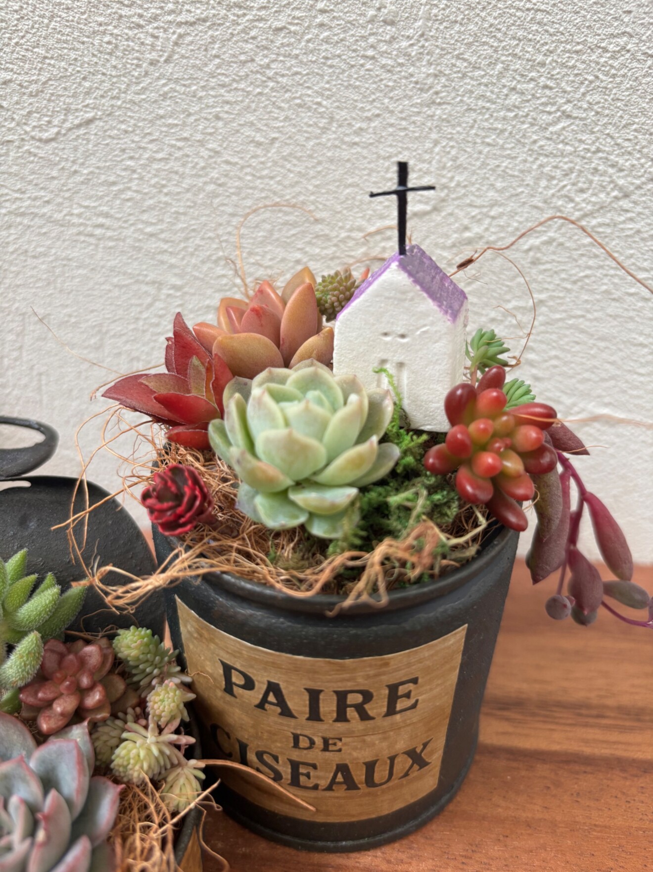 多肉植物カット苗　リメイク缶　2 リメイク缶と多肉植物カット苗の寄せ植えキット｜リベシティ