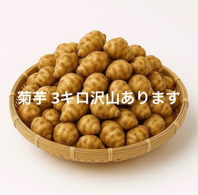 農家直送】無農薬・自然栽培 菊芋 3kg｜新鮮・土付き発送