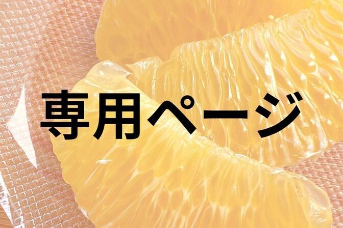 ※専用ページ※
