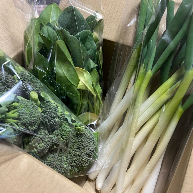 🥬採れたてセット🥦ネギ　ホウレンソウ　スティックブロッコリー

