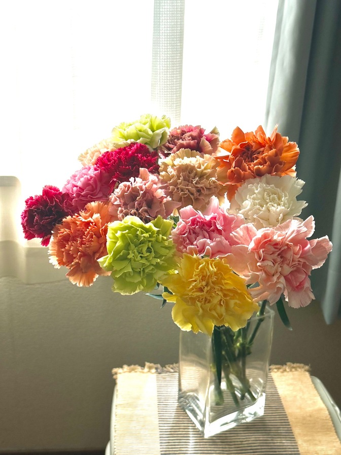 産地直送！
カーネーション15本
クール便にてお届け