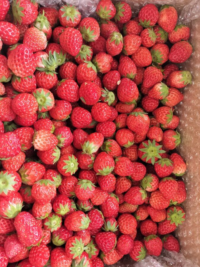 「完熟ジャム用いちご2kg（小粒・不揃い）送料込み」