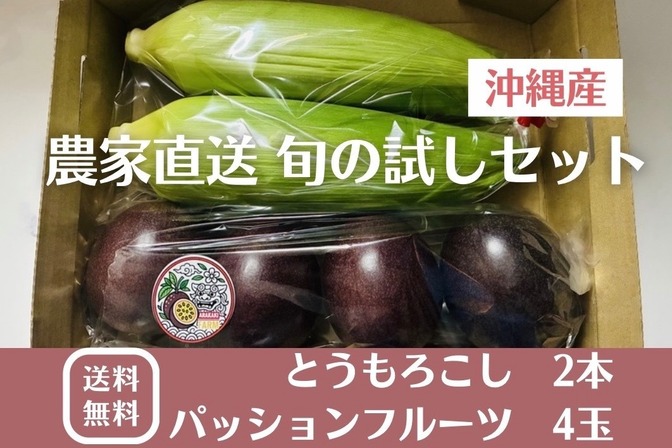【沖縄農家直送】とうもろこし2本＋パッションフルーツ4玉 旬の南国セット