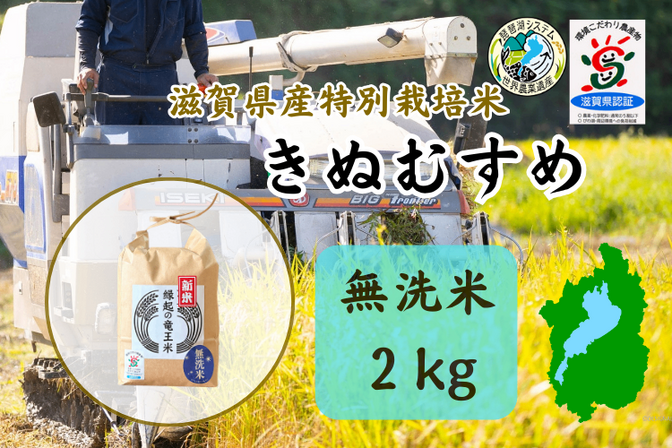 令和7年産【無洗米2kg】「きぬむすめ」特別栽培米！1750年から続くお米農家が作った縁起の竜王米