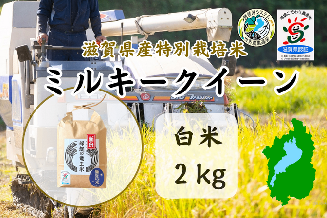 令和7年【白米2kg】「ミルキークイーン」特別栽培米！1750年から続くお米農家が作った縁起の竜王米