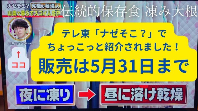 【お試し用】信州美麻（みあさ）の凍（し）み大根15g×１袋【希少な雪国の伝統的保存食】
