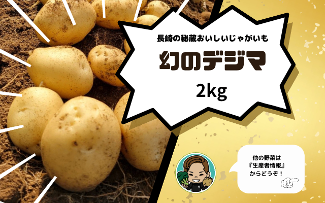 【長崎の秘蔵】極上&万能じゃがいも「デジマ」2kg