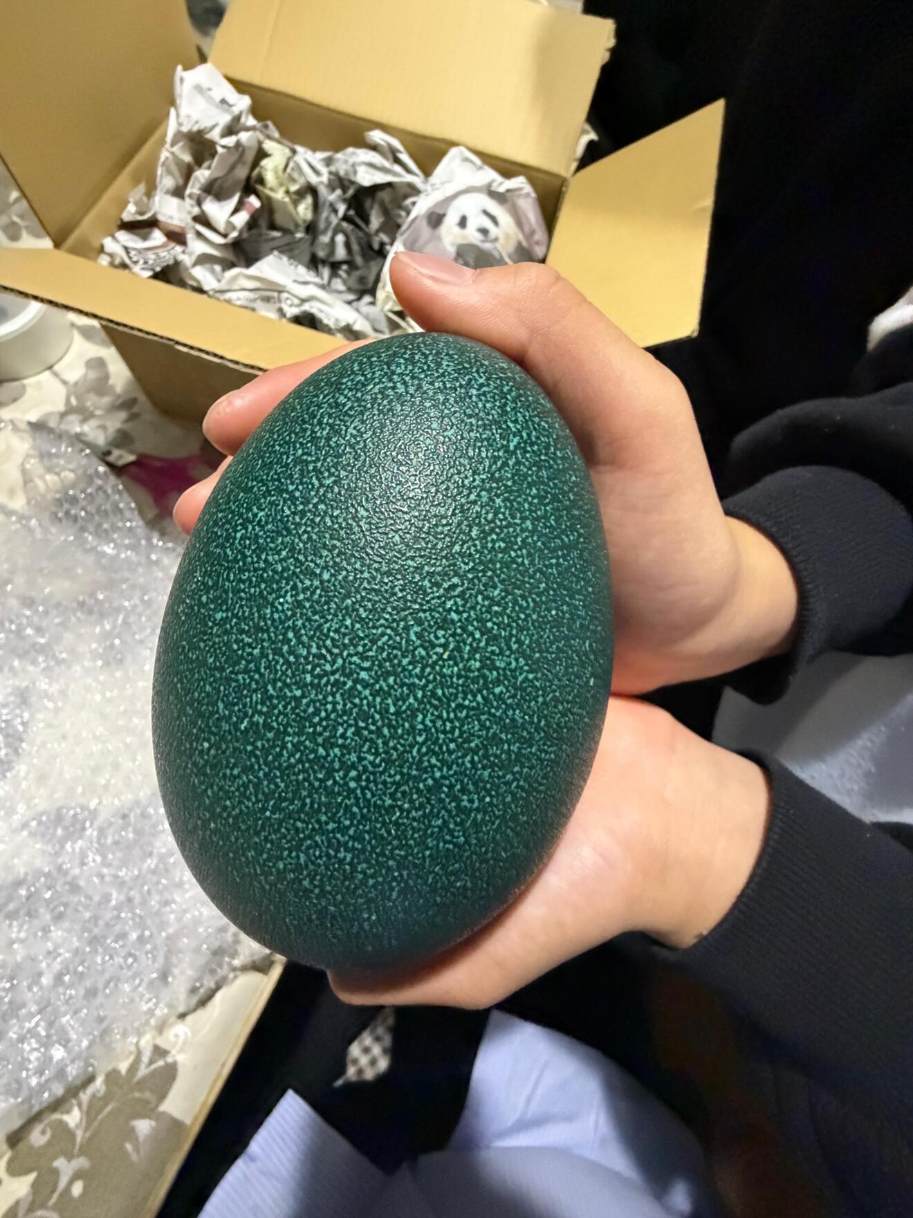 エミューの卵(食用)｜リベシティファーマーズマーケット