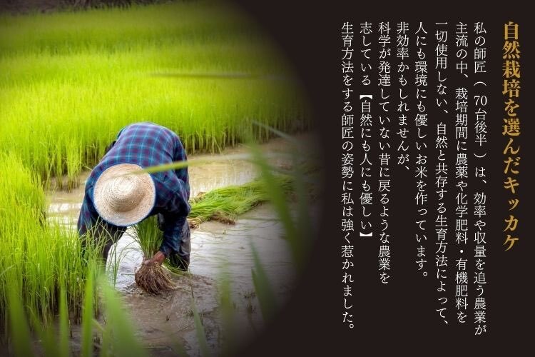 いのうえ🌾米を作る人