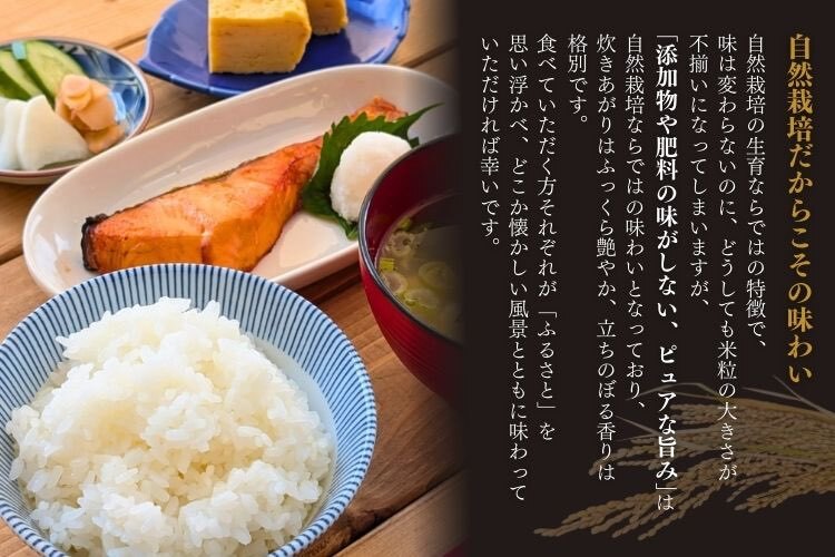 いのうえ🌾米を作る人