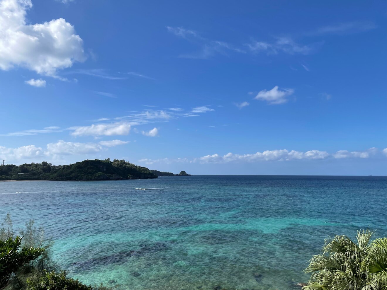 きぃさん＠ブロガー＆週末農業🍌