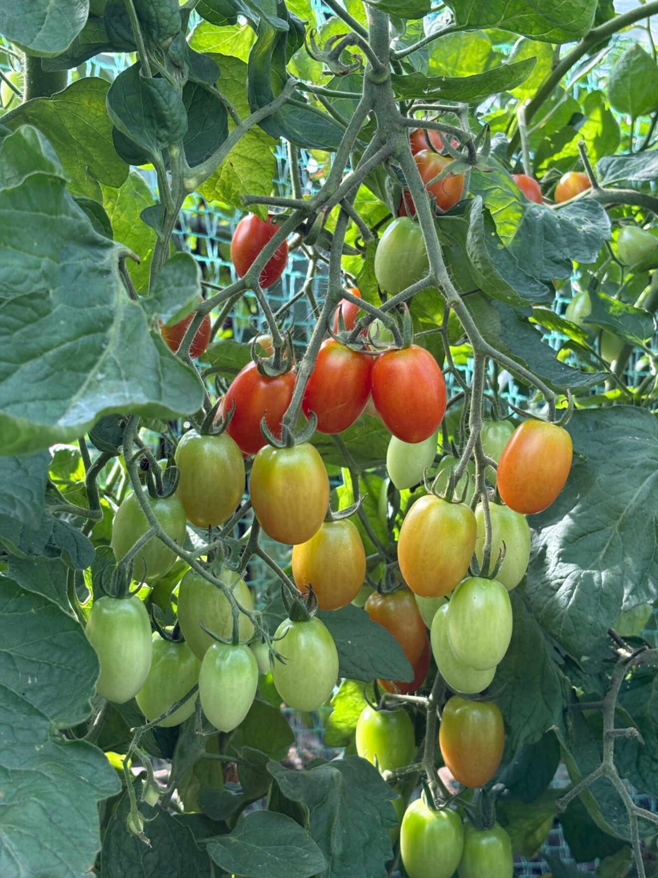 ざいおん@建築系ライター/インタビュー