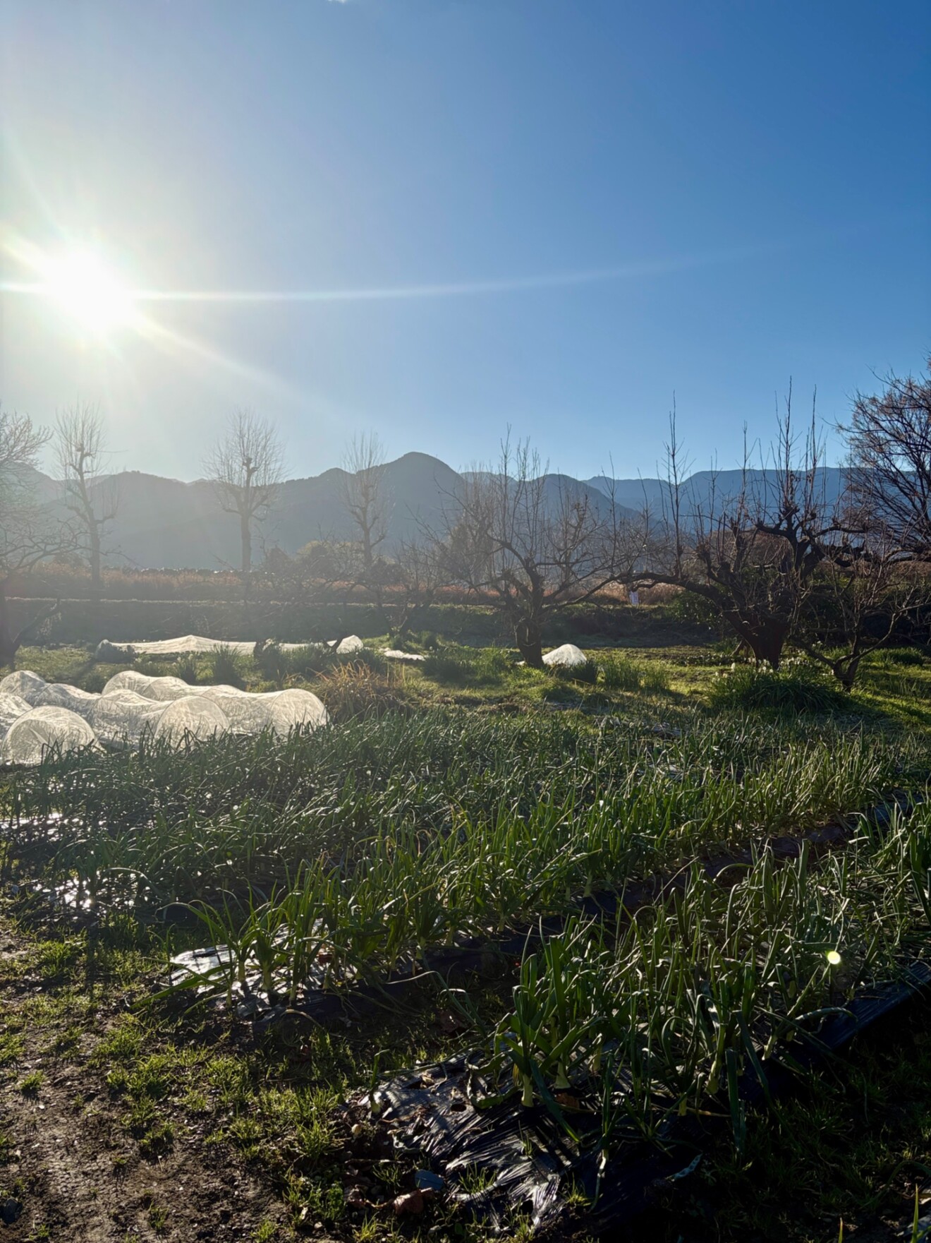 ざいおん@建築系ライター/インタビュー