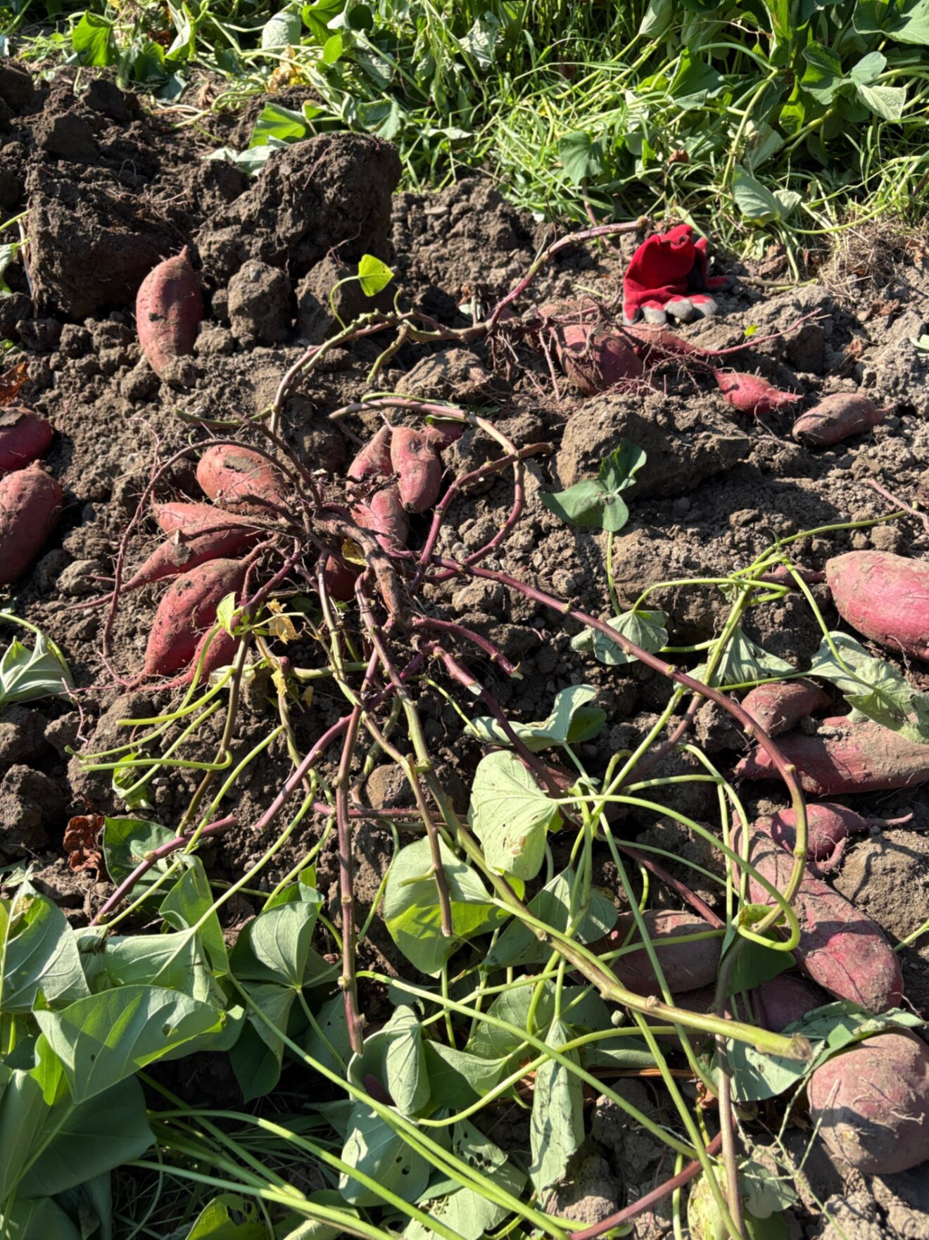 ざいおん@建築系ライター/インタビュー