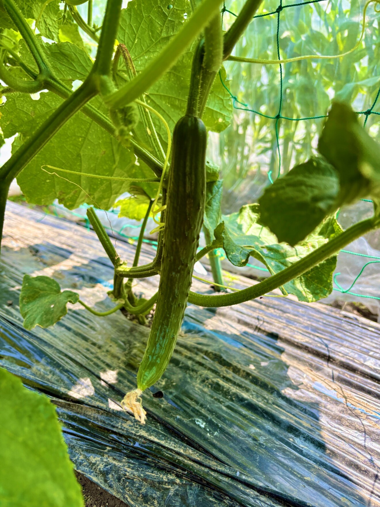 ざいおん@建築系ライター/インタビュー