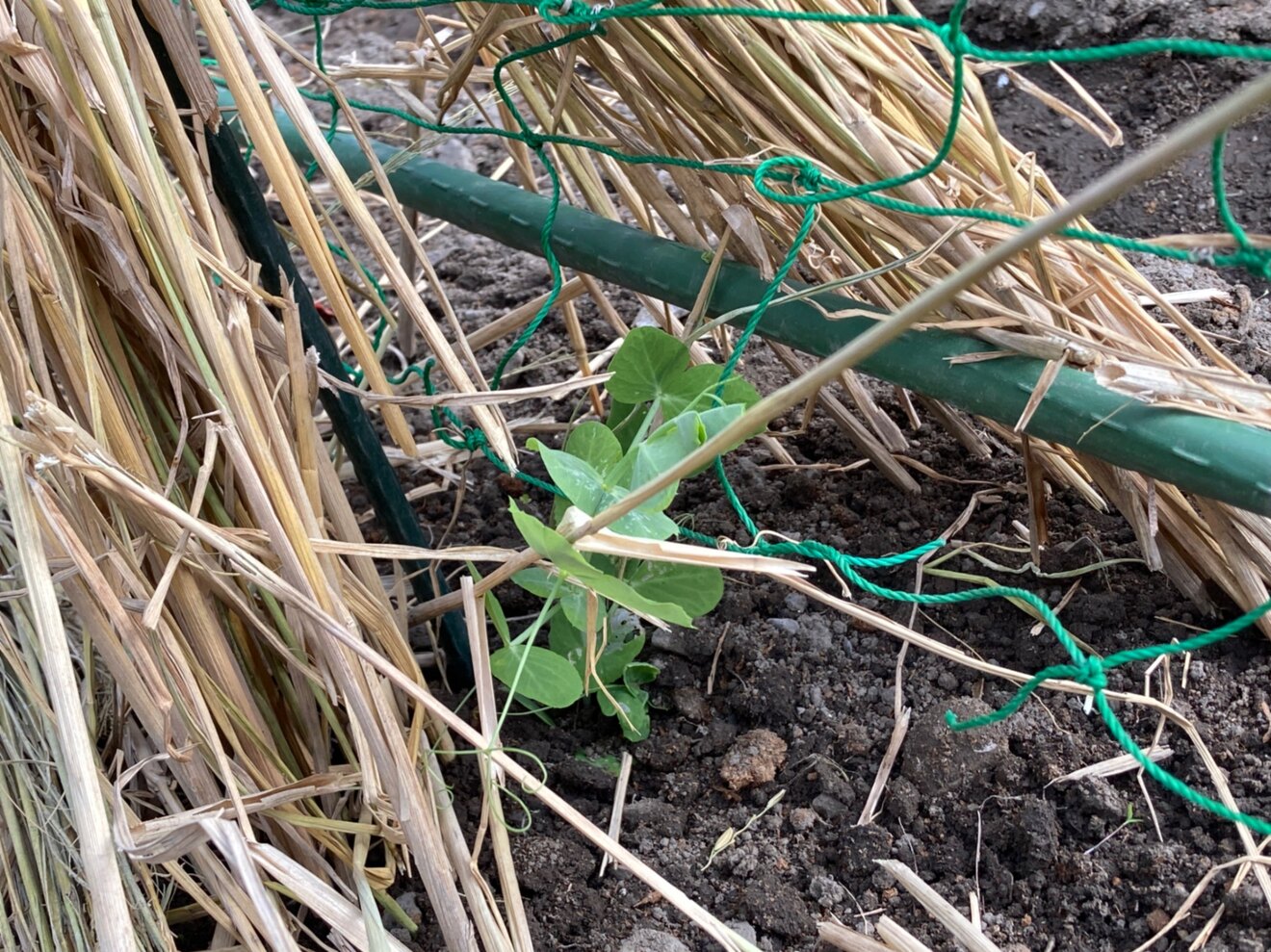 ざいおん@建築系ライター/インタビュー