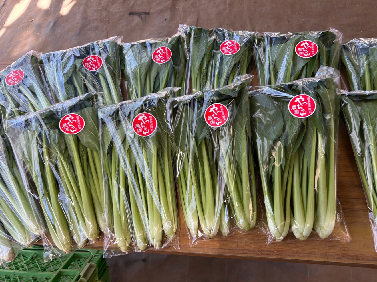 mizuki@鹿児島の農家🥬
