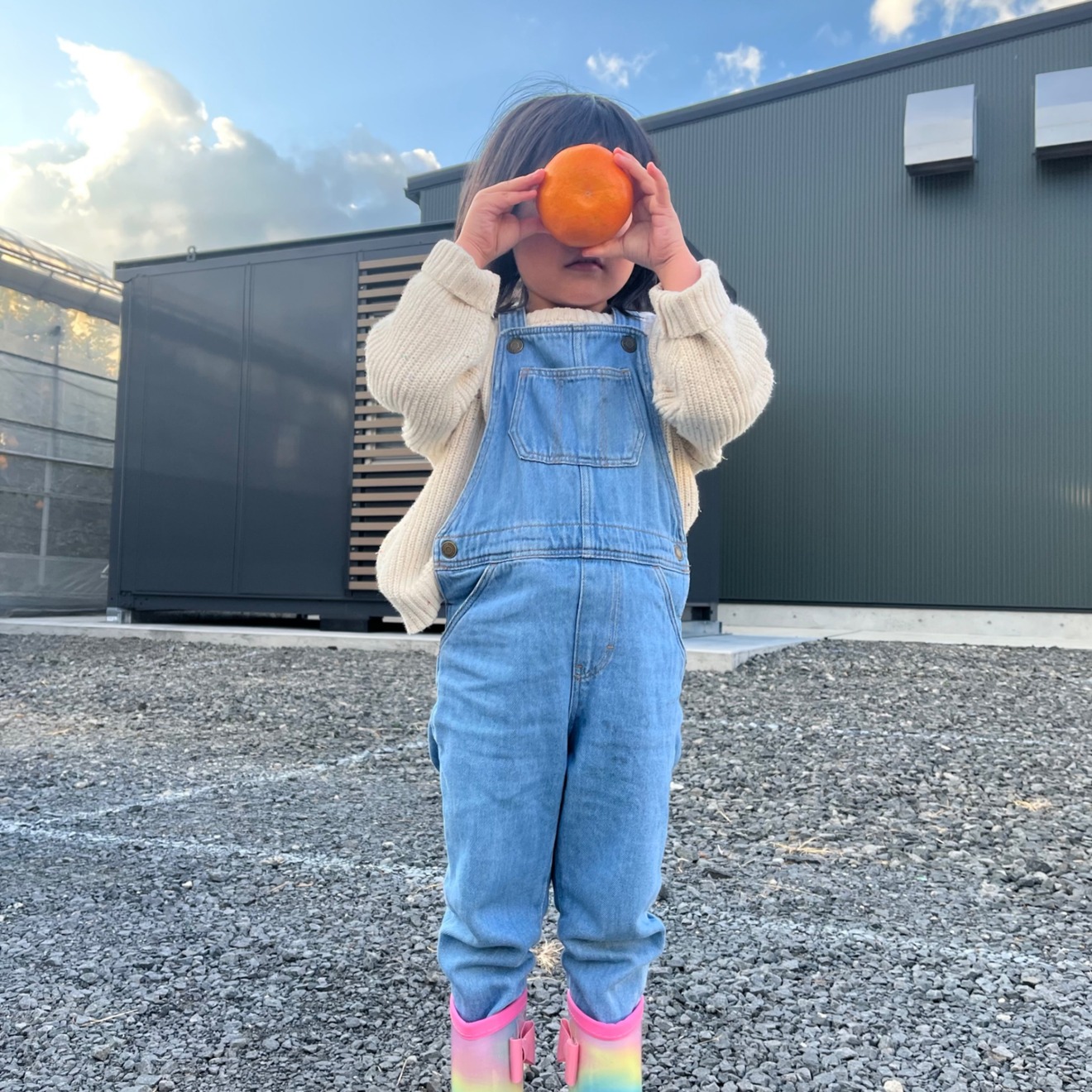 YOKOYAMA FARM./柑橘農家