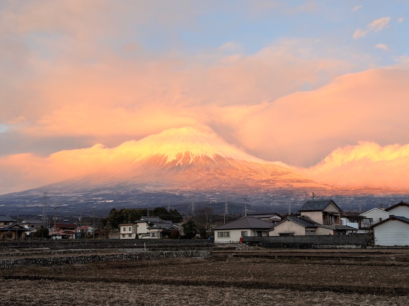富士山麓の米農家 次回発送9月20日以降