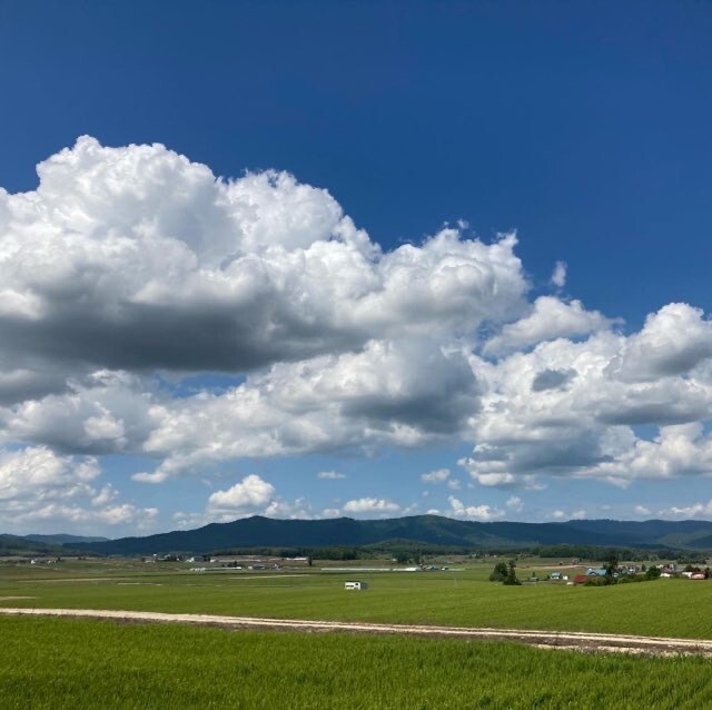 まきし@脱サラ米農家🌾北海道