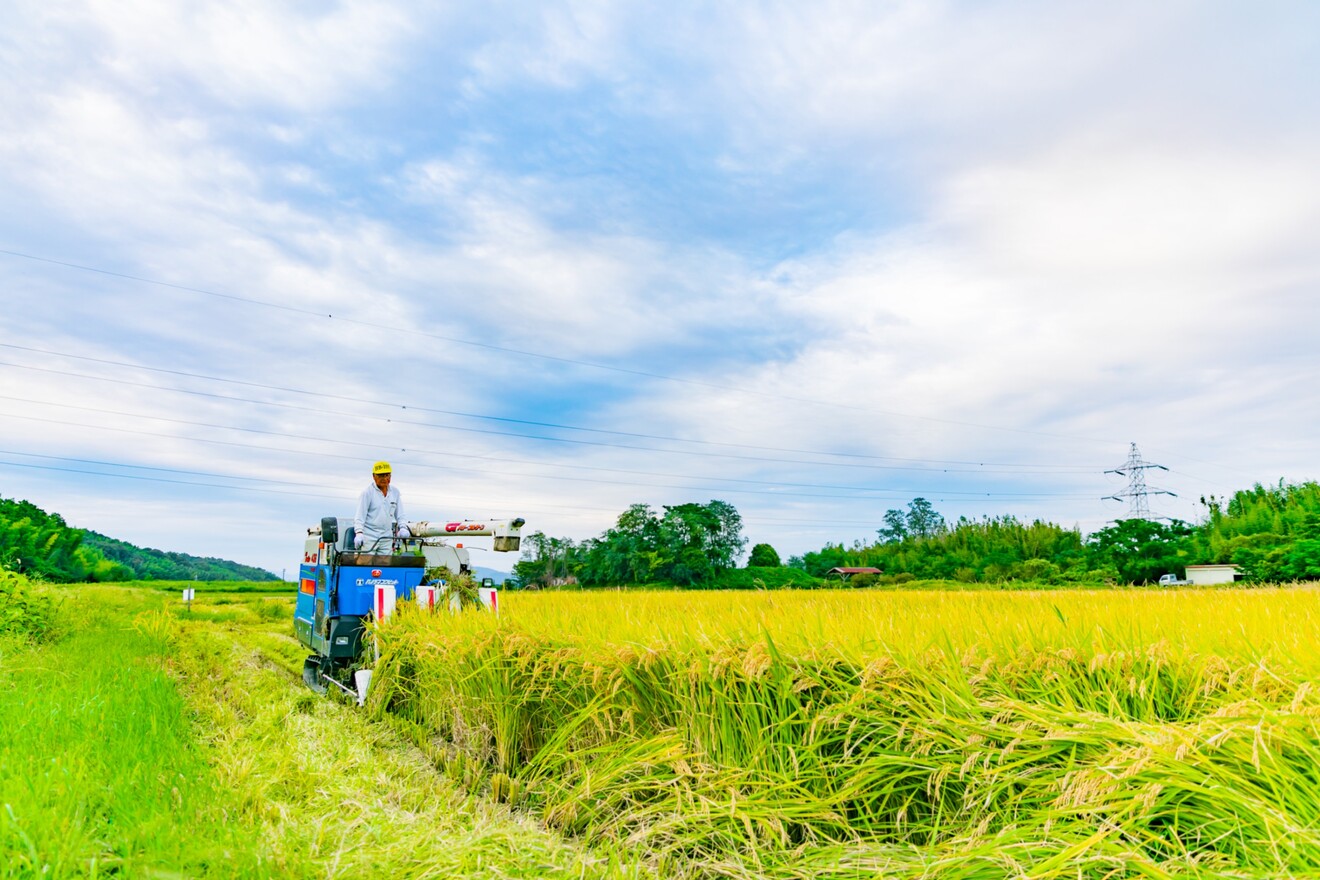 お米農家の娘かおり　お米で笑顔の食卓を
