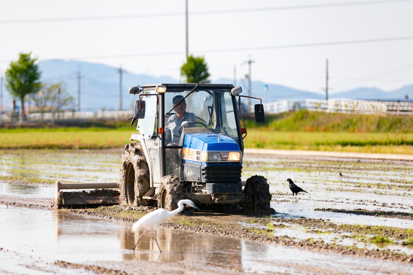 お米農家の娘かおり　お米で笑顔の食卓を