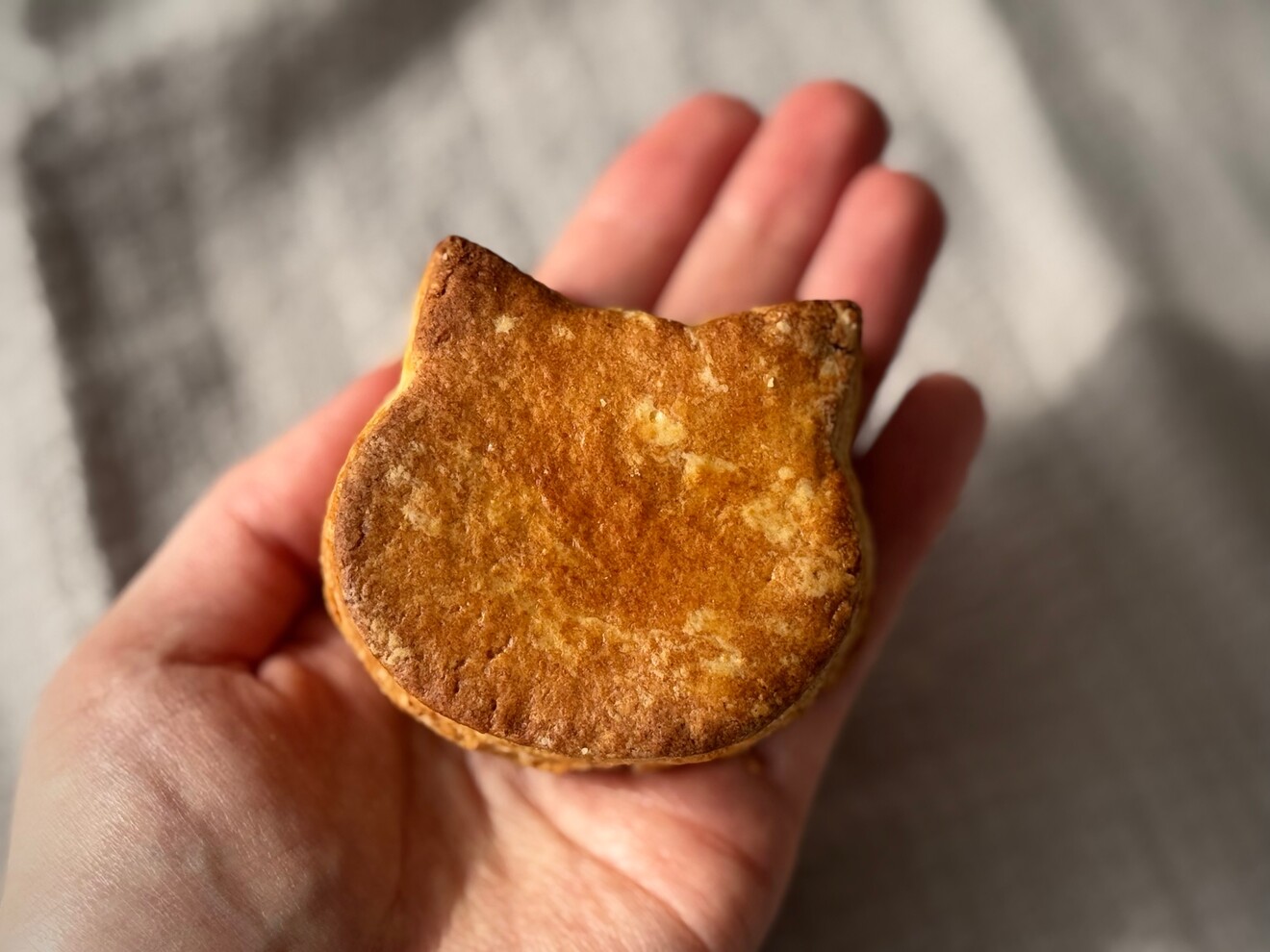 くつ＠ねこスコーン販売中