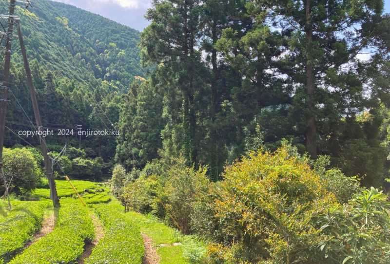 みっちー911@南紀白浜のFiRe民