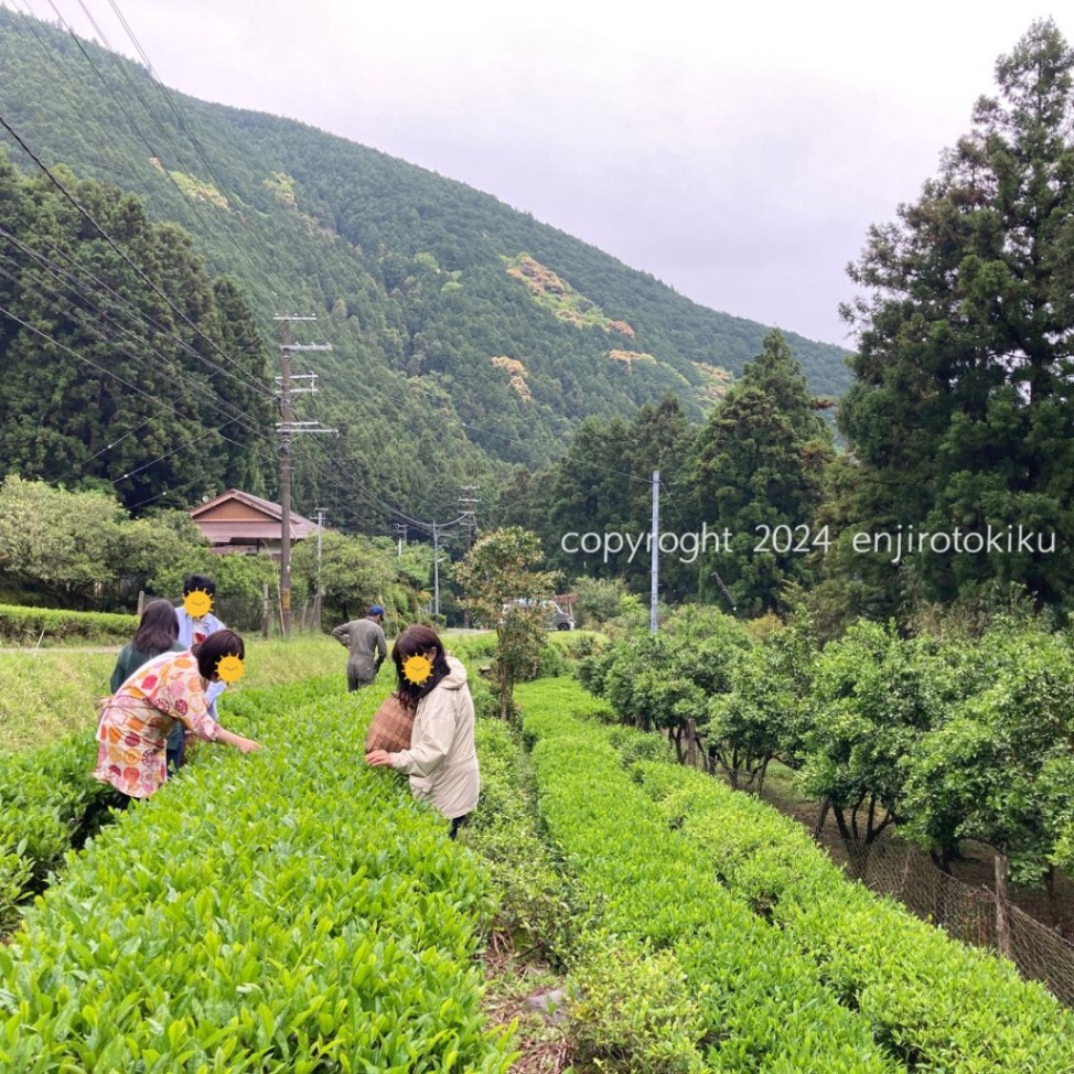 みっちー911@南紀白浜のFiRe民