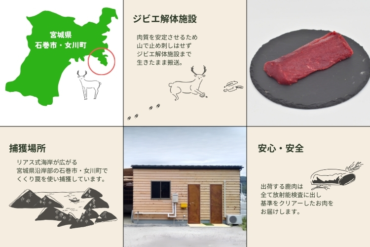 猟師作家だる＠鹿と蜂のプロハンター