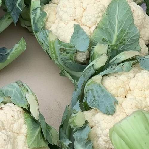 Cauliflower