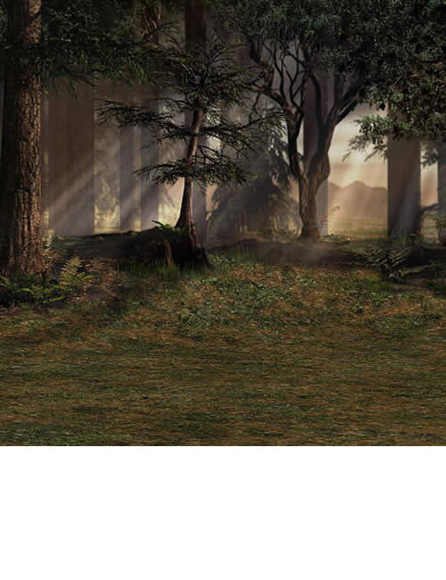 Heart of the Forest by: LaurieS, 3D Models by Daz 3D