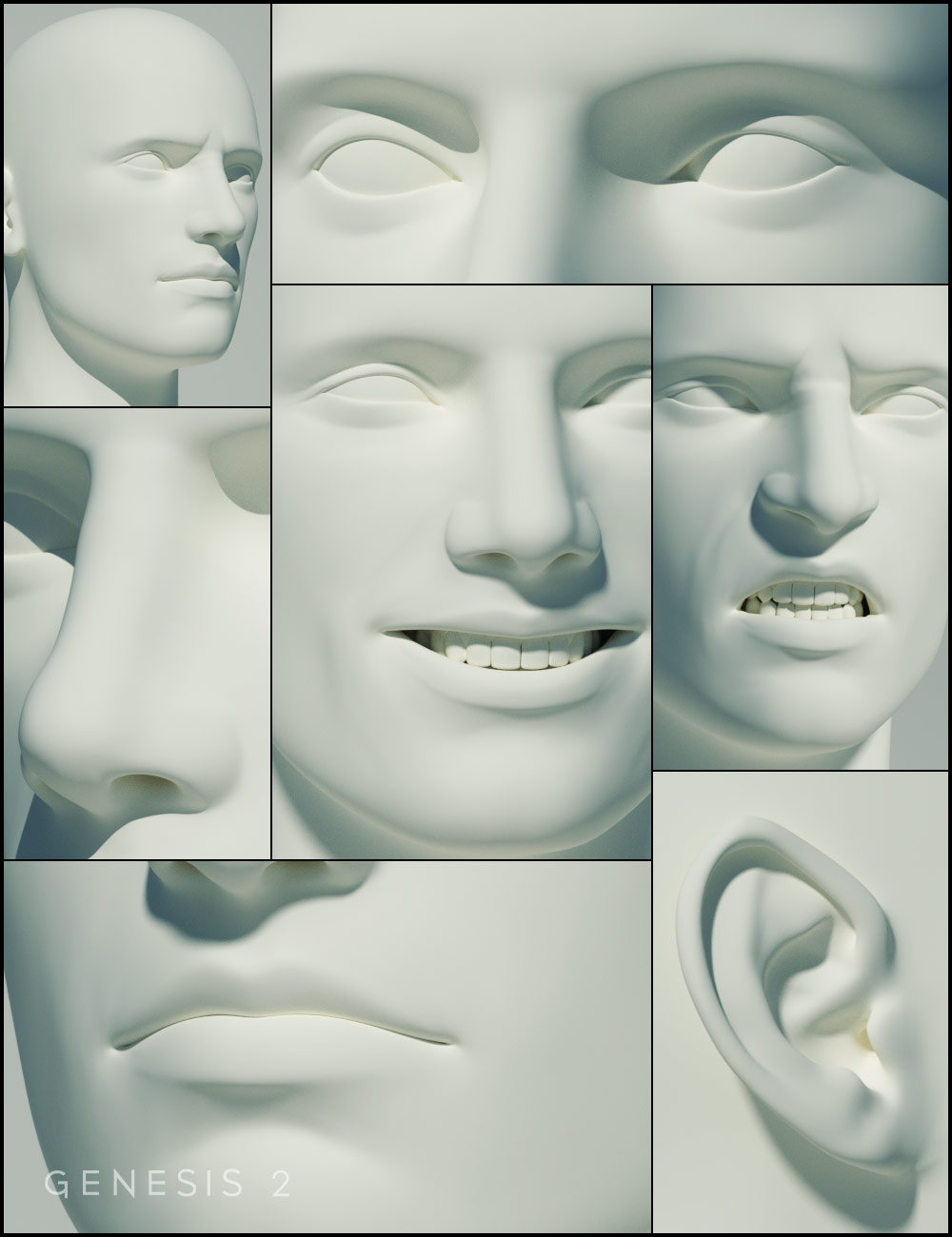Genesis 2 Male Head Morphs by: , 3D Models by Daz 3D