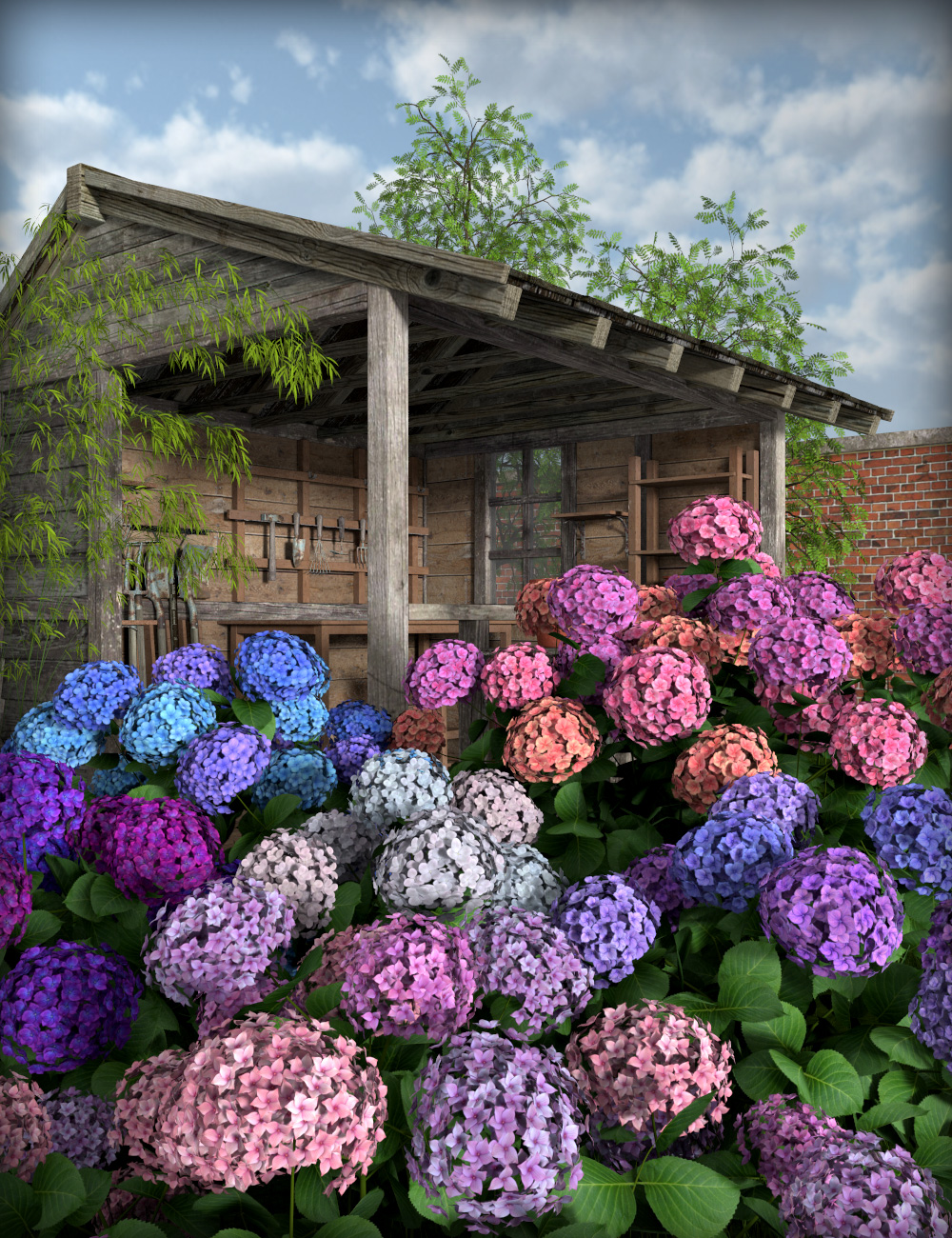 Hydrangea by: esha, 3D Models by Daz 3D
