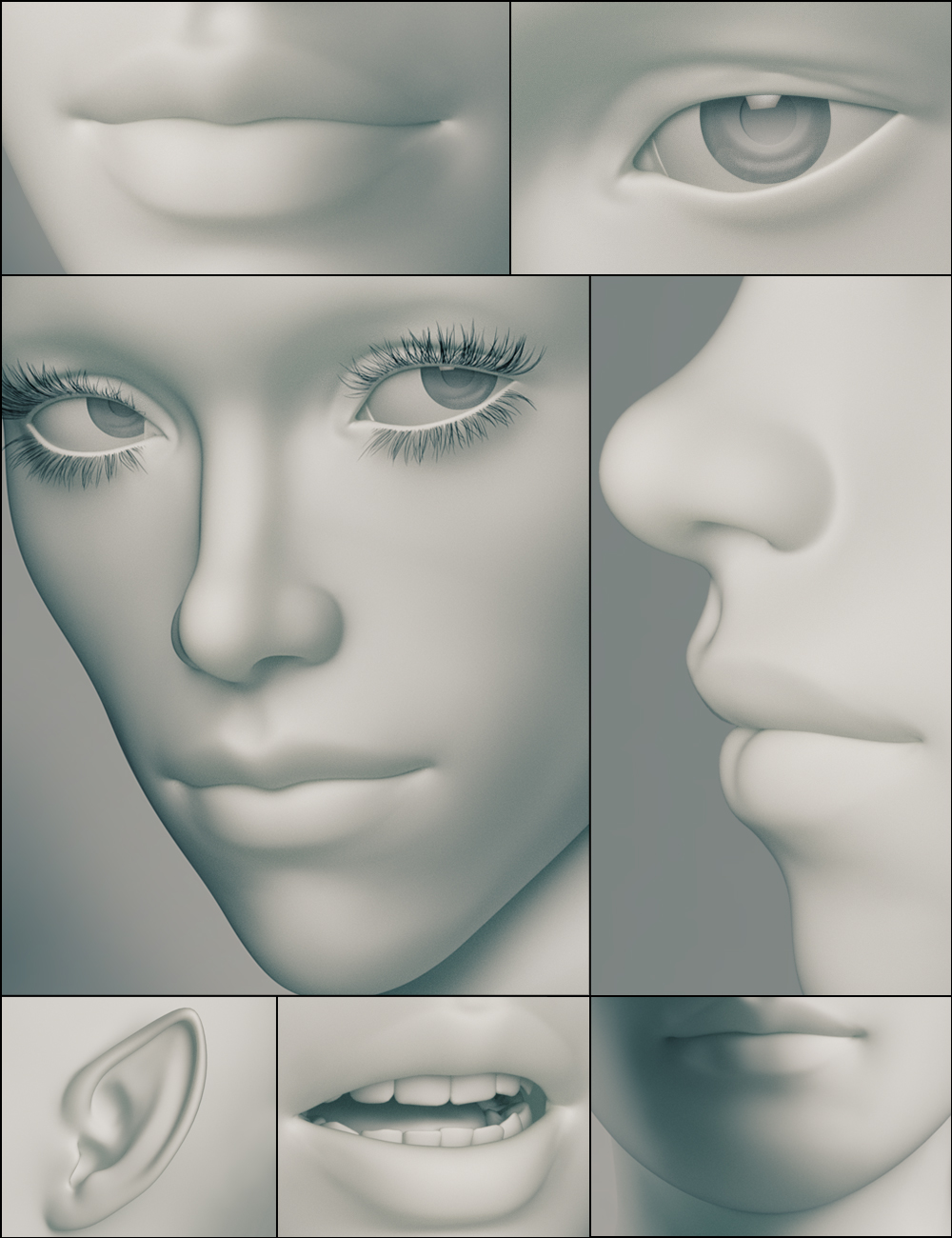 Genesis 3 Female Head Morphs by: , 3D Models by Daz 3D