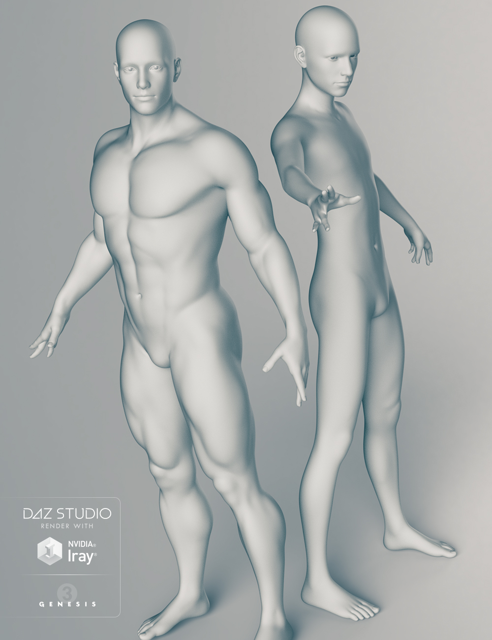 Genesis 3 Male Body Morphs by: , 3D Models by Daz 3D