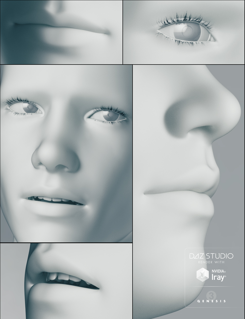 Genesis 3 Male Head Morphs by: , 3D Models by Daz 3D