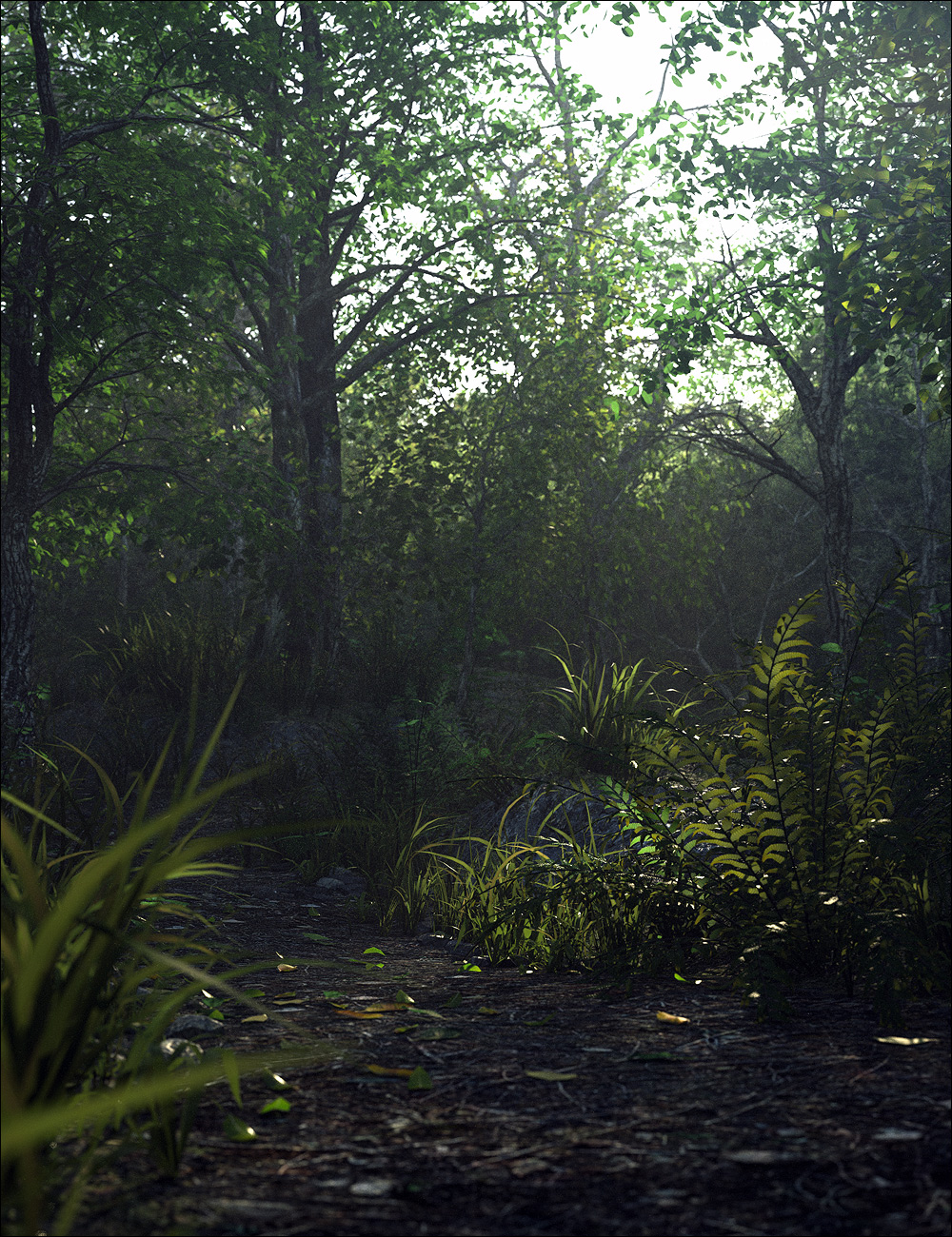 Through the Woods by: Stonemason, 3D Models by Daz 3D