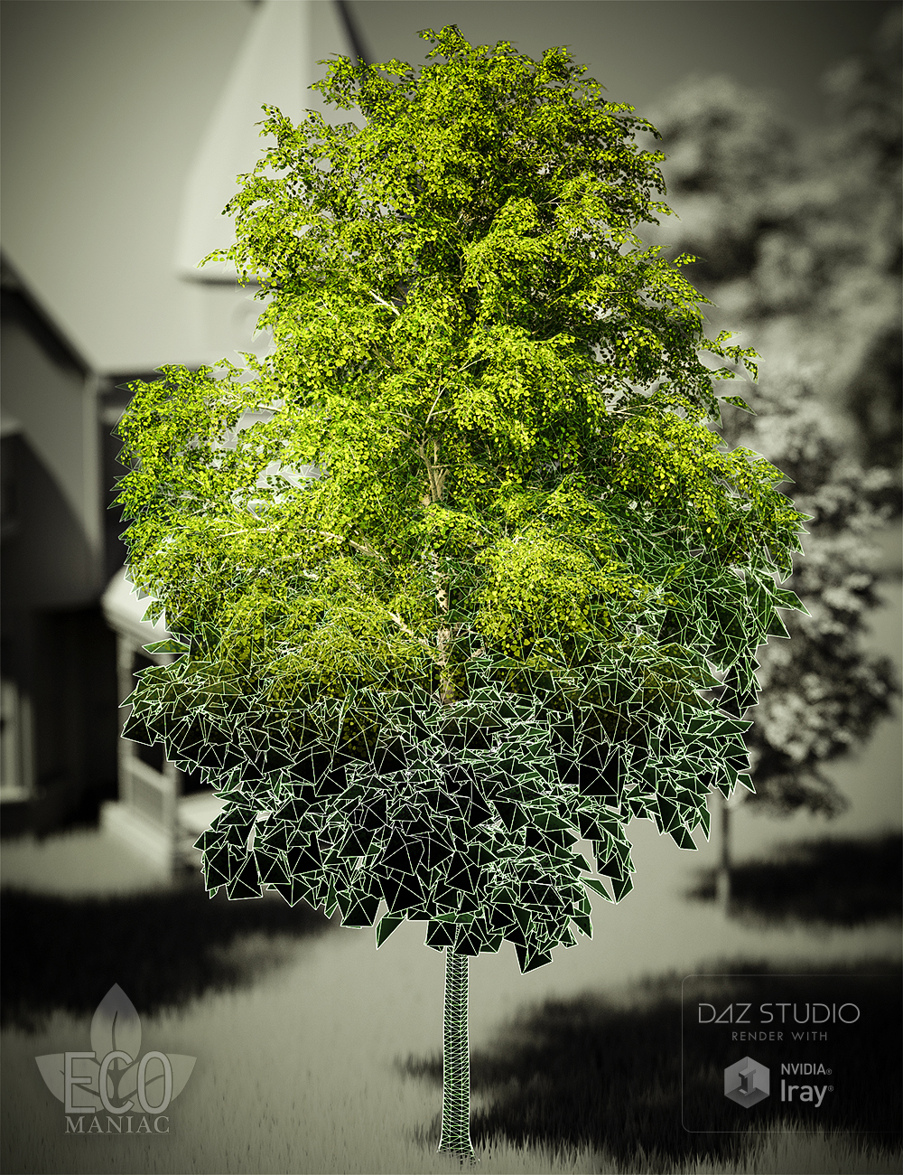 EM - MultiRes Aspen Trees by: DimensionTheoryEcoManiac3D, 3D Models by Daz 3D