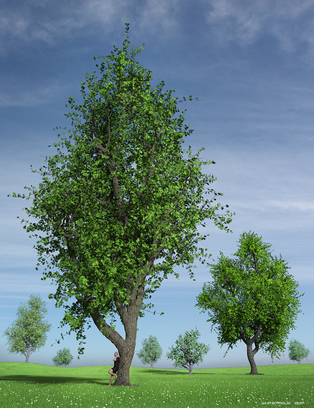 Hybrid Trees Collection by: Whitemagus, 3D Models by Daz 3D
