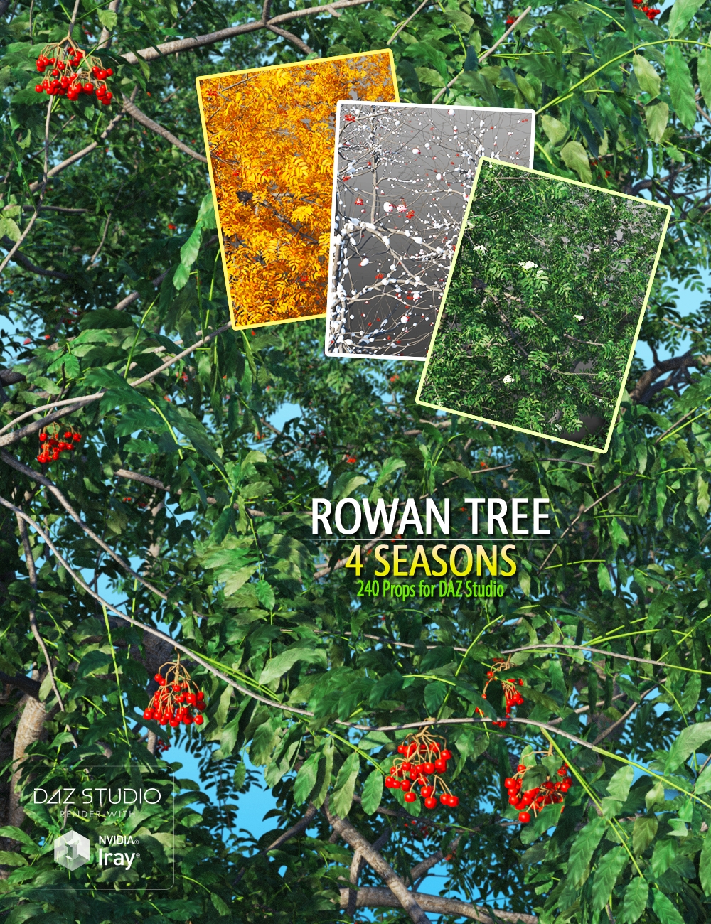 Rowan Tree by: Peanterra, 3D Models by Daz 3D