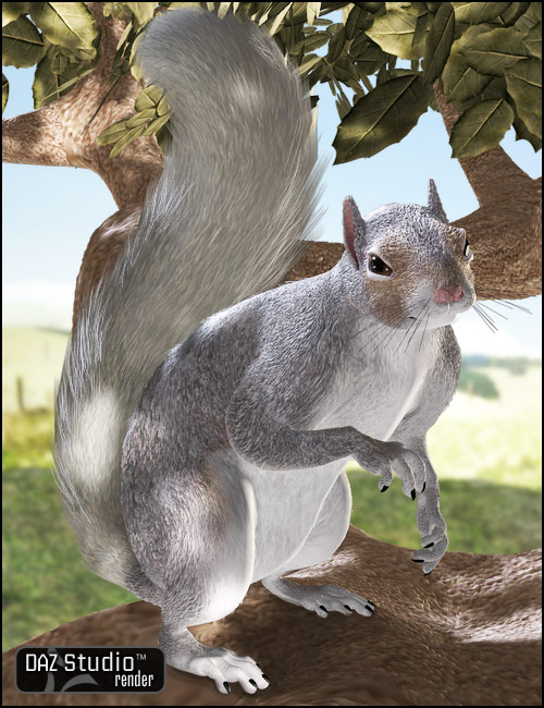 DAZ Squirrel by: , 3D Models by Daz 3D